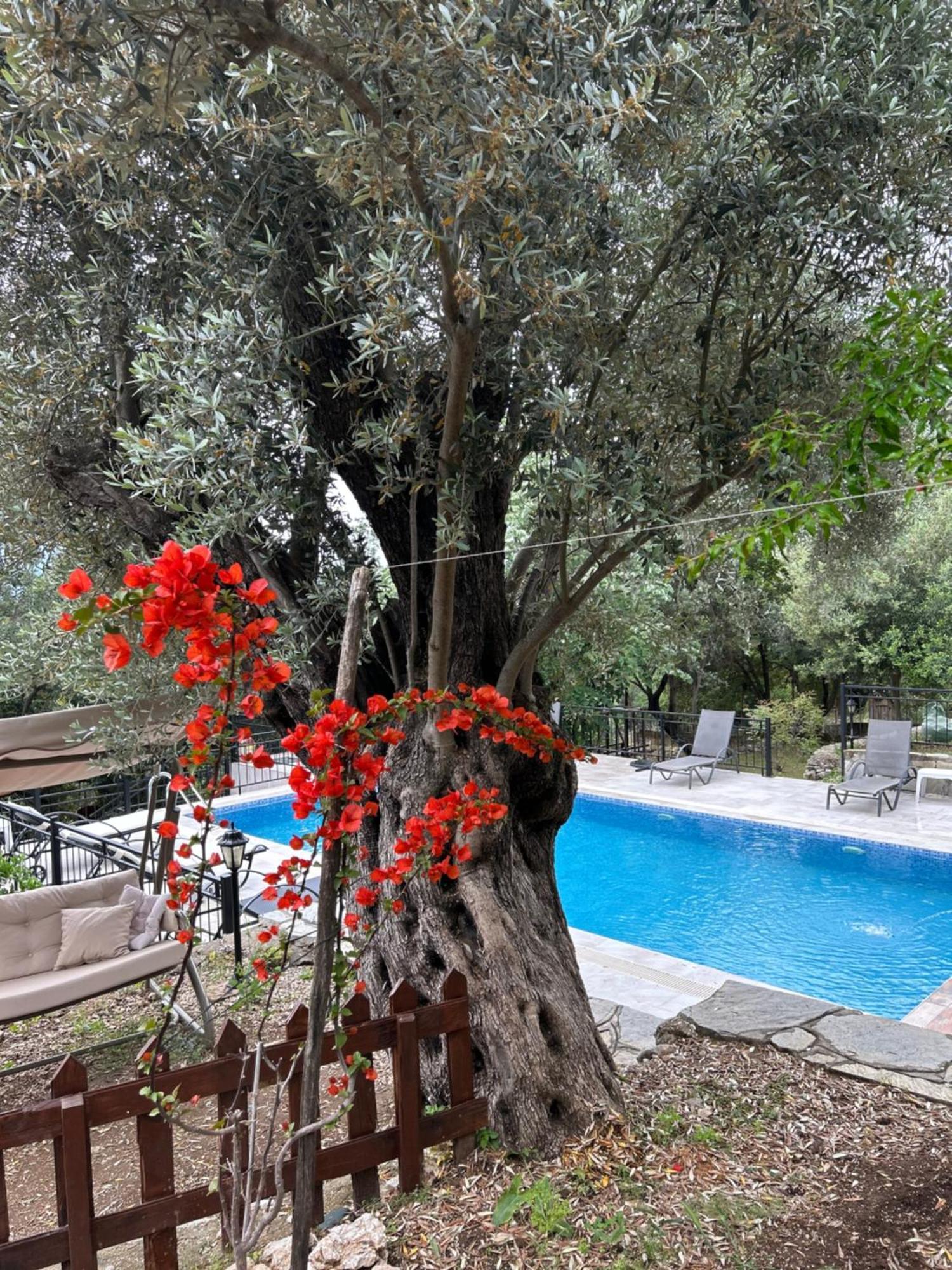 Antalya Bodrum Kayasi Dag Oteli Hasdumen Kültér fotó